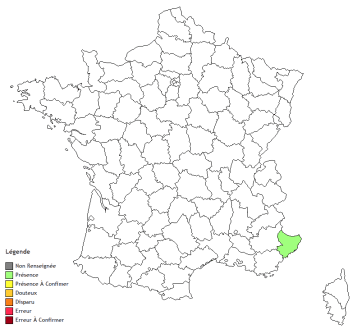 carte Pinguicula reichenbachiana