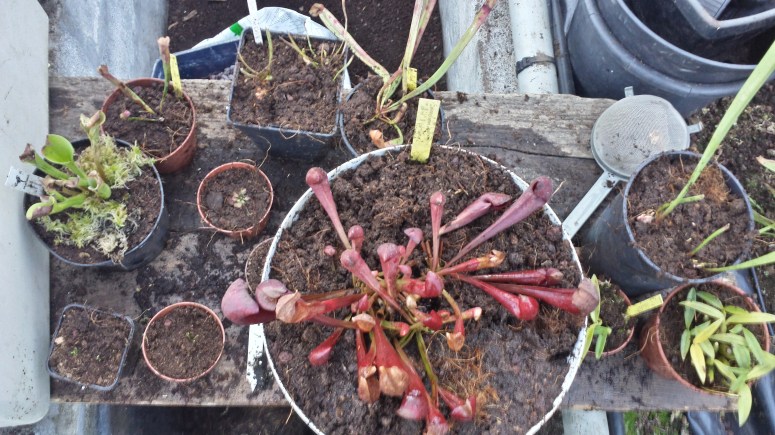 20170218_170036_Richtone(HDR)